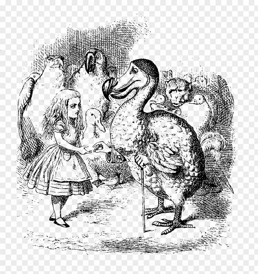 Alice's Adventures In Wonderland Dodo White Rabbit Tweedledum PNG