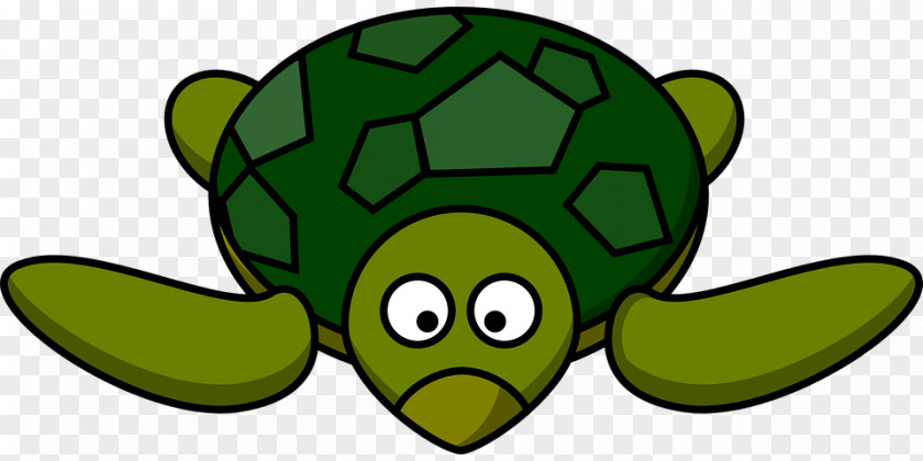 Cute Little Turtle Green Sea Clip Art PNG