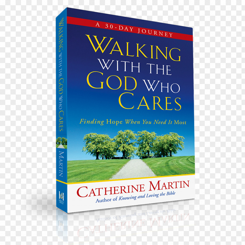 God Walking With The Who Cares A Woman's Walk In Grace: God's Pathway To Spiritual Growth Six Secrets Powerful Quiet Time Bible PNG