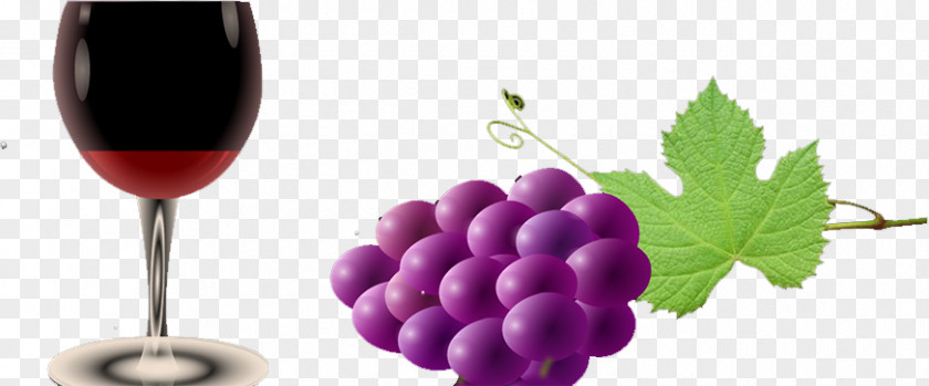 Grape Fruit Gratis Food PNG