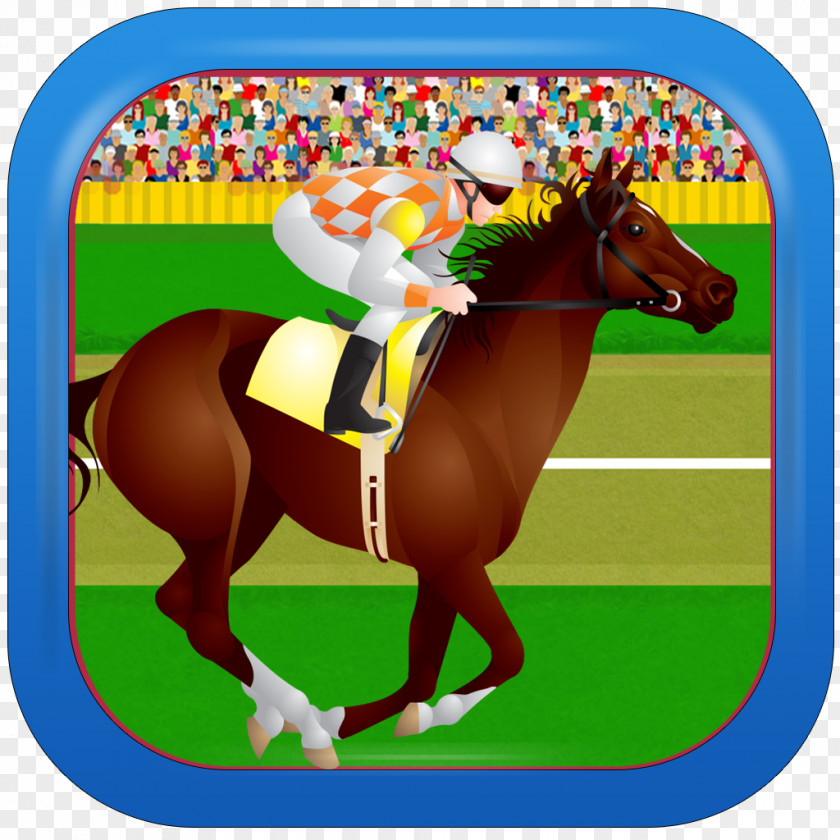 Horse Racing Stallion Jockey Trainer Tack Equestrian PNG