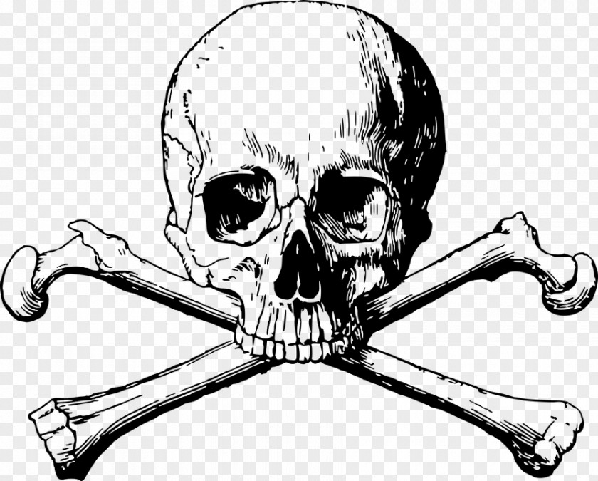 Skull And Bones Human Symbolism Crossbones Clip Art PNG