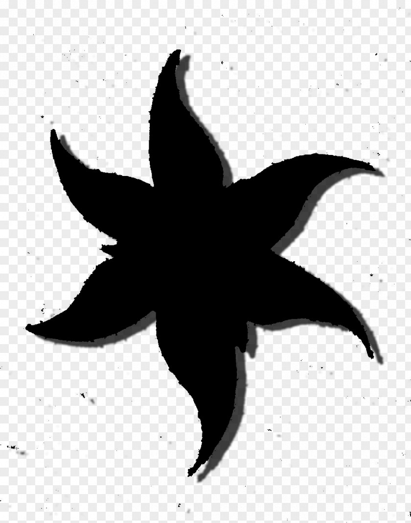Starfish Silhouette Flower Leaf PNG