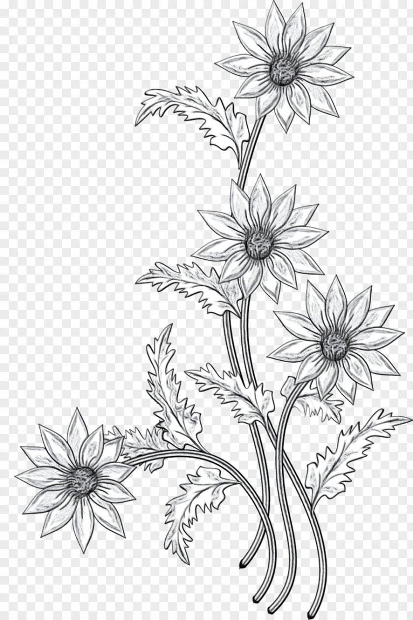 M Sketch Floral Design Cut Flowers Black & White PNG