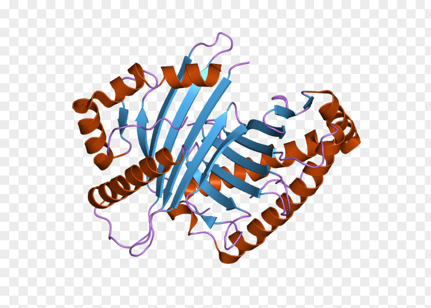 OGDH Oxoglutarate Dehydrogenase Complex Alpha-Ketoglutaric Acid Enzyme PNG