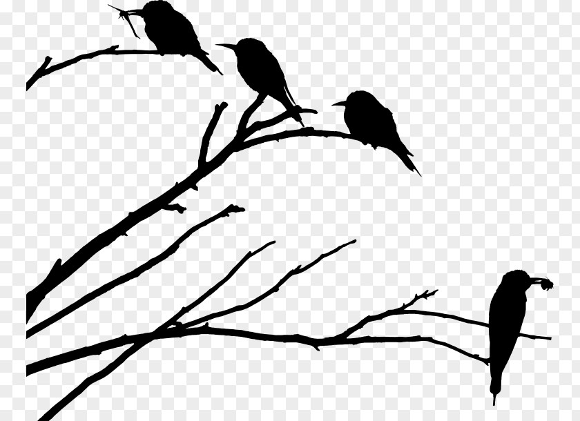 Siluet Tree Drawing Father Bird Silhouette PNG