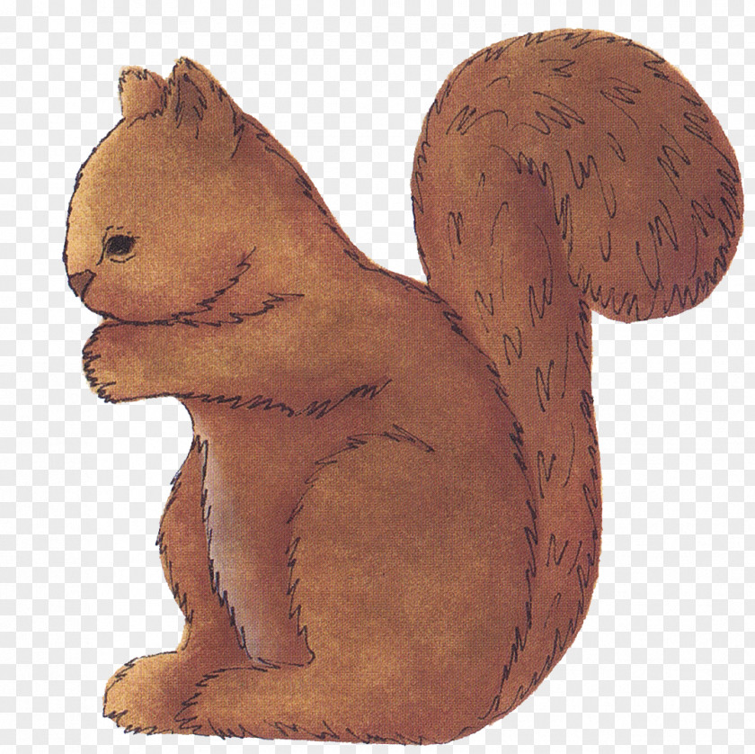 Squirrel Images Free Content Clip Art PNG