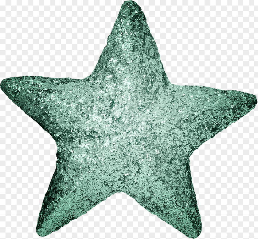 Starfish Echinoderm Clip Art Marine Invertebrates PNG