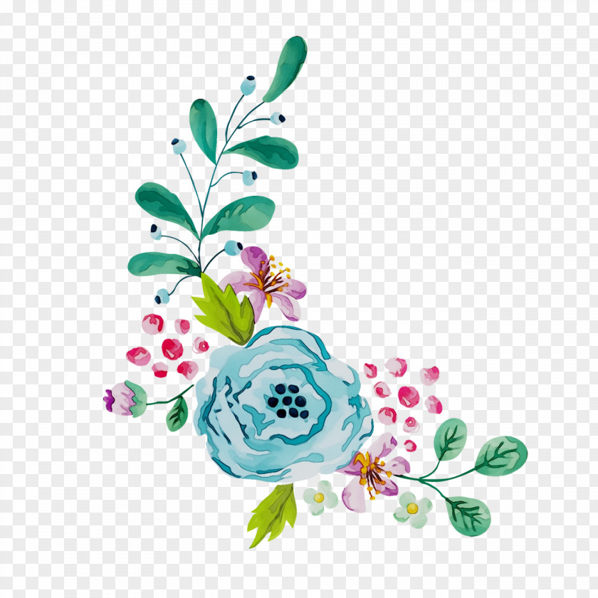 Vector Graphics Floral Design Flower Image Petal PNG