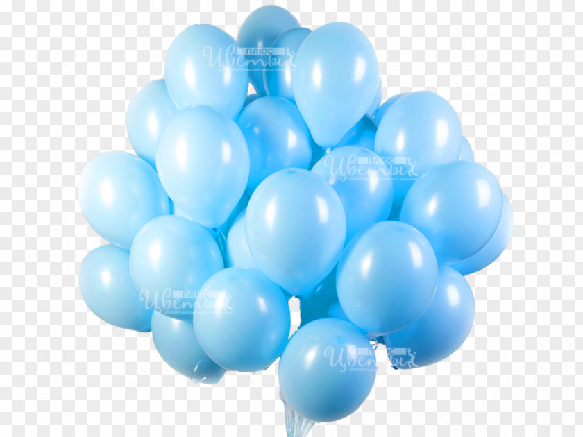 Ball Toy Balloon Helium Flower Bouquet PNG