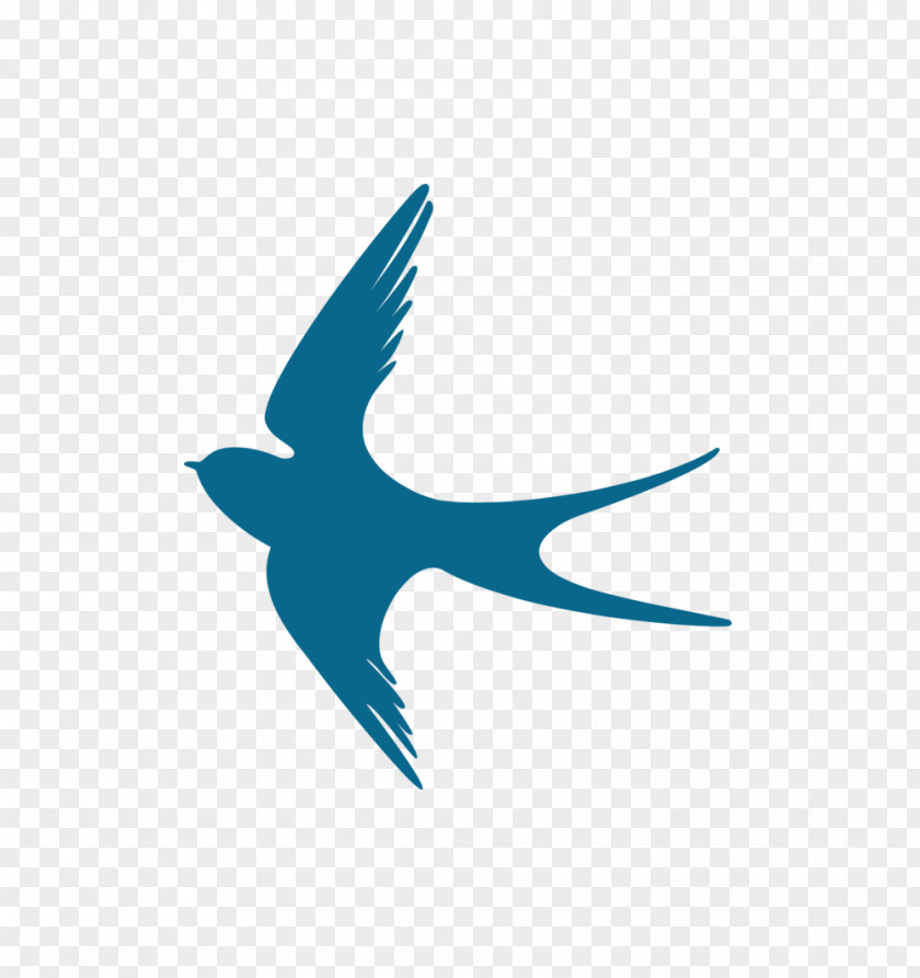 Bird Hirundininae Craft Beak Logo PNG