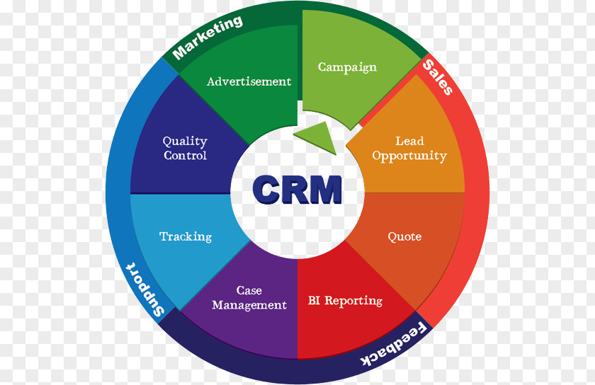 Employee Reporting Relationship Customer Management Enterprise Resource Planning Business Process Human System PNG
