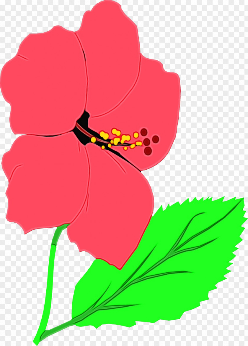 GIF Flower Animation Clip Art PNG