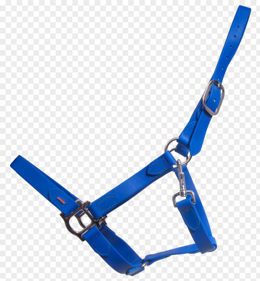 Halter Leash Horse Tack Icelandic Material PNG