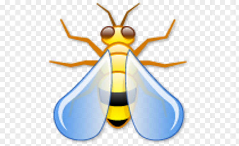 Insect Honey Bee Fly PNG