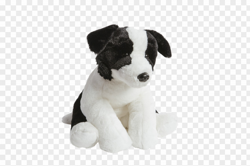 Puppy Dog Breed West Highland White Terrier Boston Scottish PNG