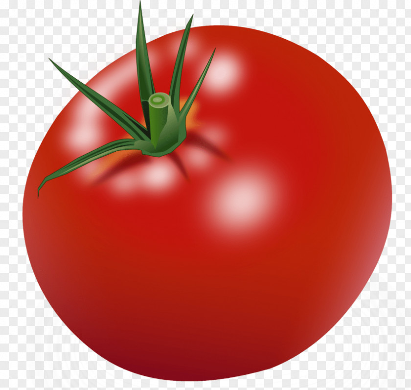 Vegetable Tomato Juice Soup Cherry Plum PNG