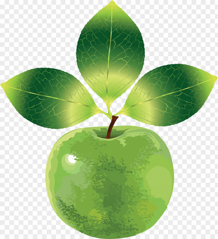 3d Cartoon Fruit Vector Material Euclidean Apple PNG