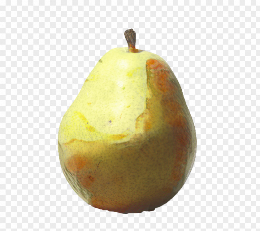 Accessory Fruit Tree Apple PNG