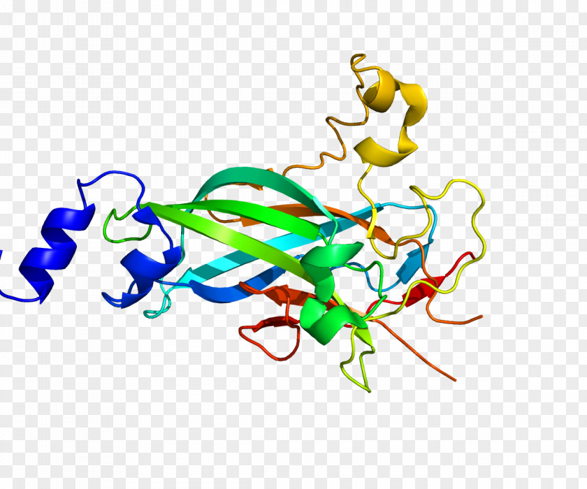 Basic Helix-loop-helix Helix-turn-helix Protein Structural Motif Pfam PNG