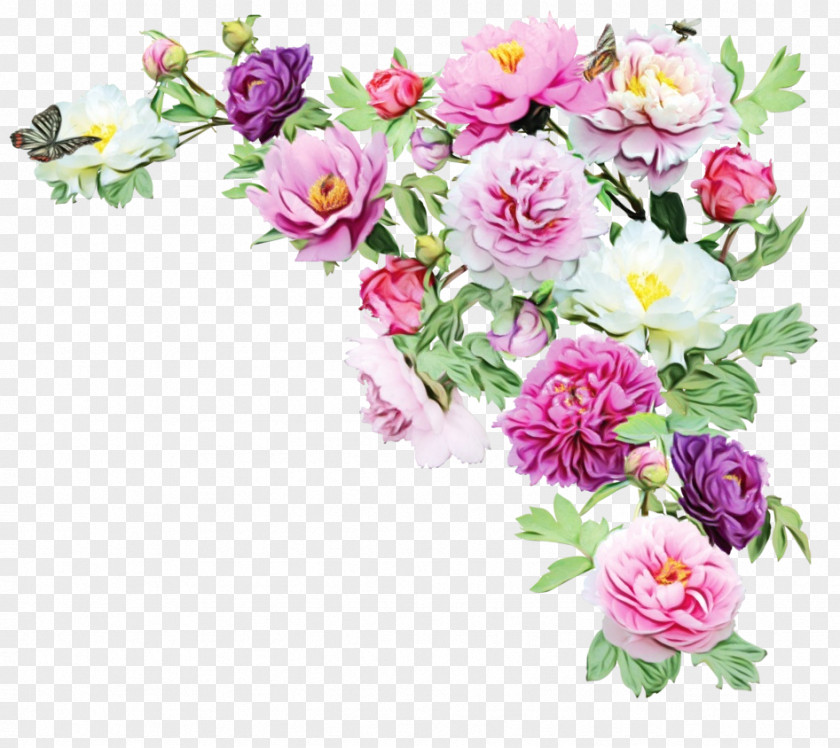 Peony Rose Family PNG
