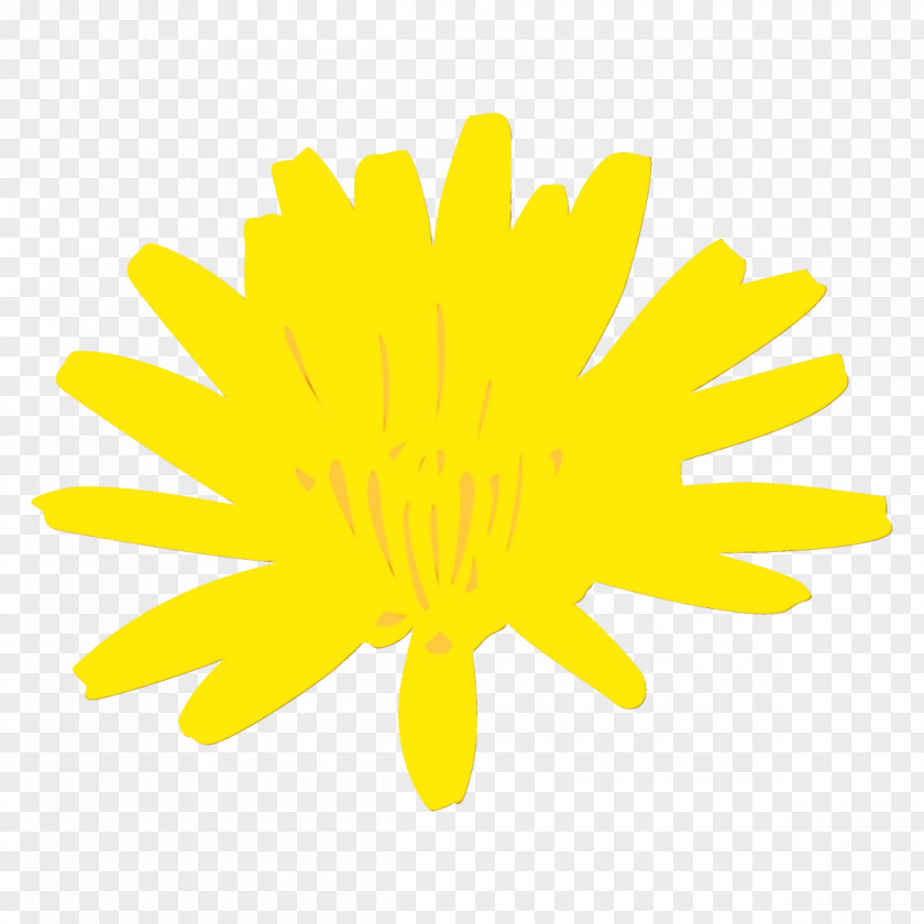 Pollen Sunflower PNG