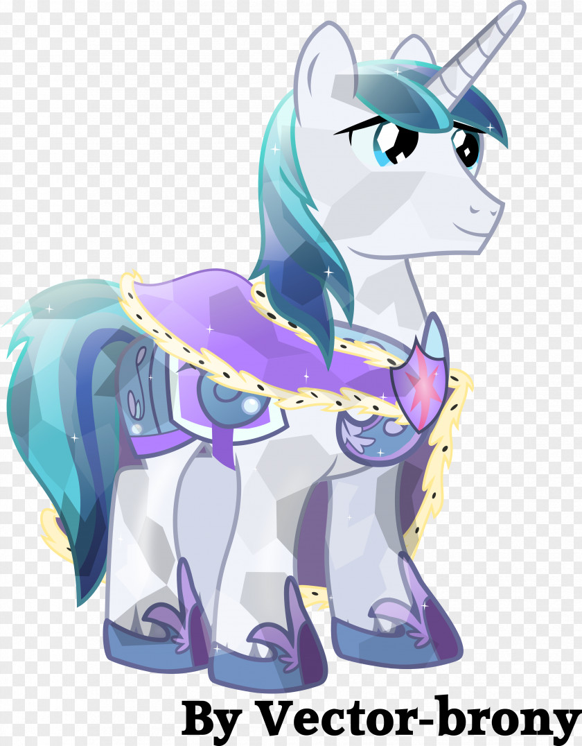 Shinning Twilight Sparkle Princess Cadance Rainbow Dash Applejack Pony PNG