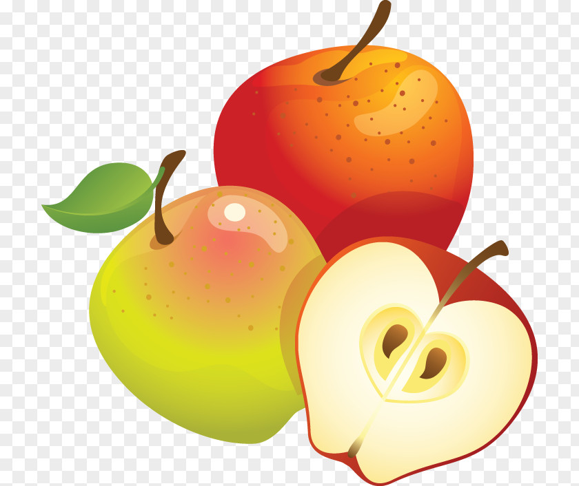 Apple Clip Art PNG