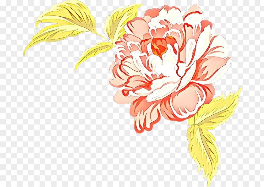 Floral Design Cut Flowers PNG