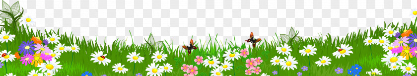 Flower Grass Cliparts Paper Donkey Book Clip Art PNG