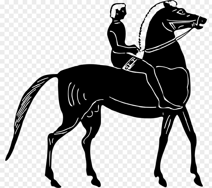 Fuding Vector Horse Equestrian Pony Clip Art PNG