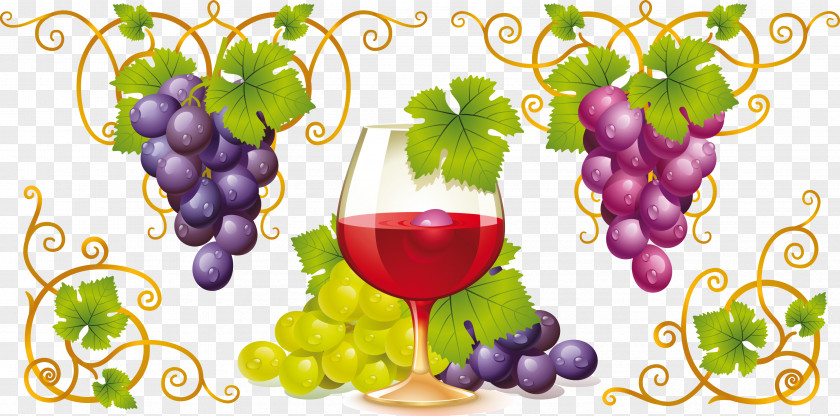 Grapes Red Wine Common Grape Vine White Clip Art PNG