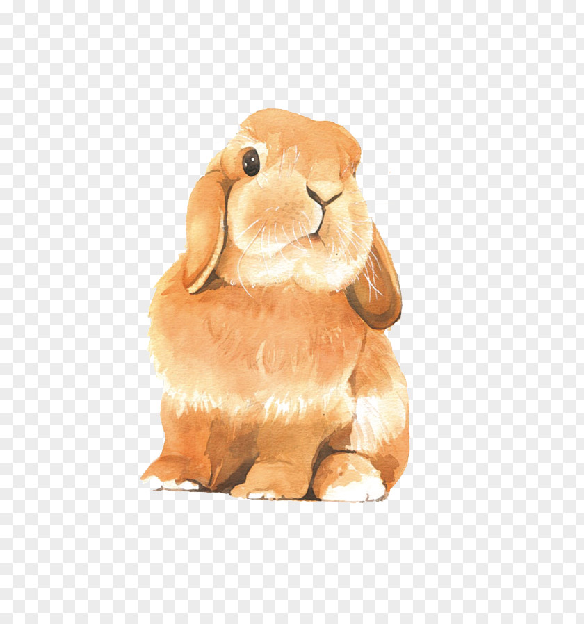 Painted Brown Rabbit Watercolor Painting Drawing Colored Pencil PNG