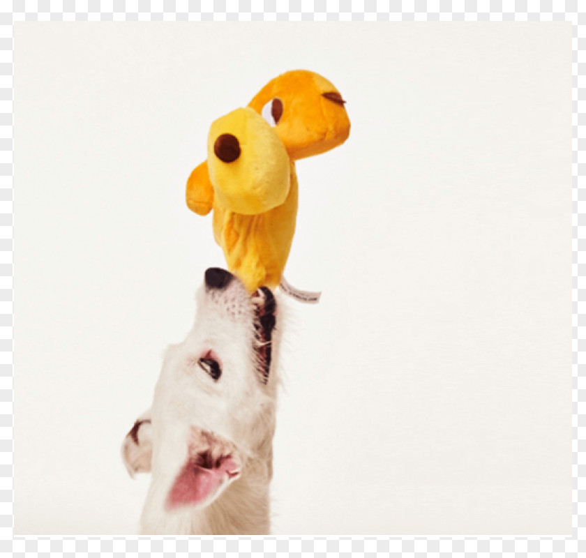 The Toy Dog Giraffe Stuffed Animals & Cuddly Toys Snout PNG