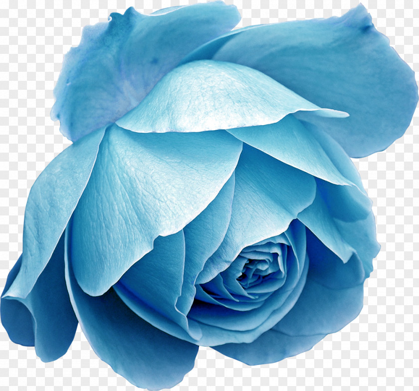 Beautiful Blue Flower Decoration PNG blue flower decoration clipart PNG