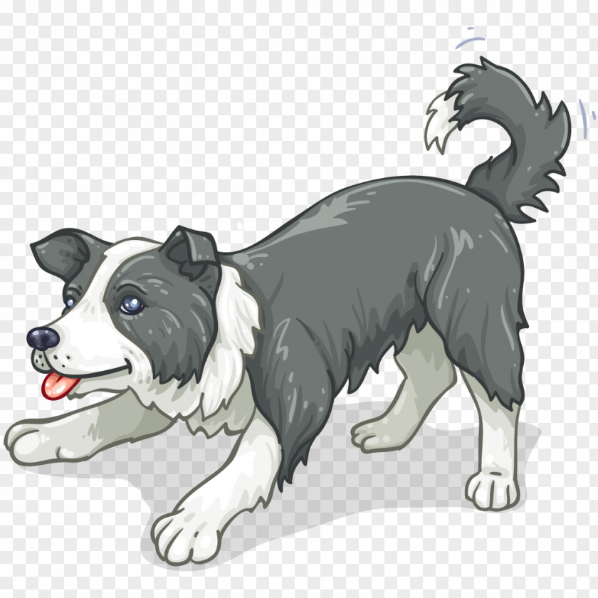 Cat Dog Breed Border Collie Rough PNG