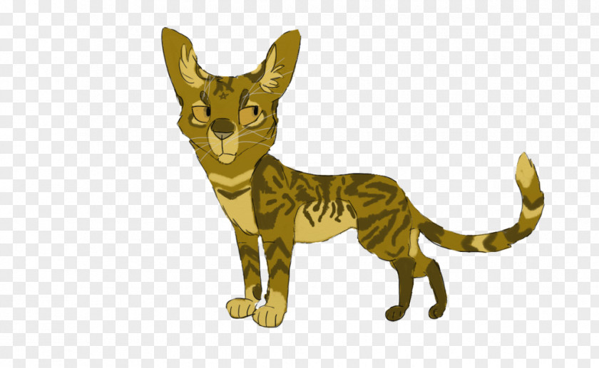 Cat Dog Canidae Tail Mammal PNG