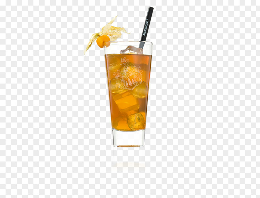 Cocktail Mai Tai Garnish Long Island Iced Tea Harvey Wallbanger PNG