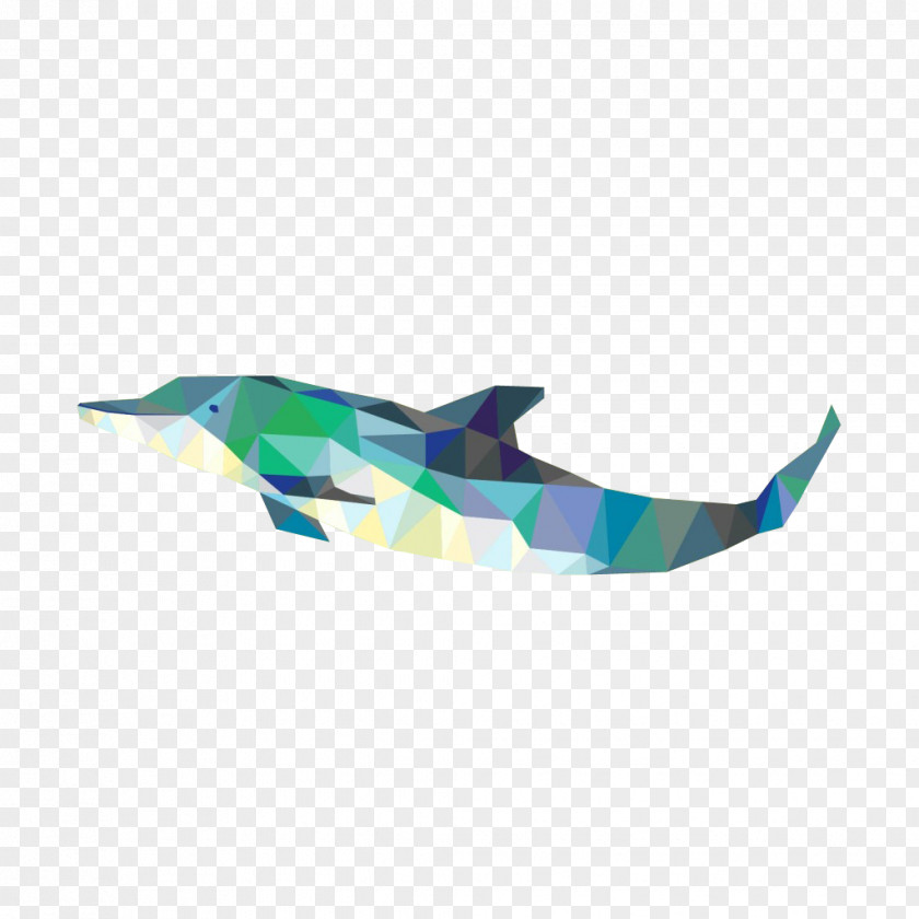 Creative Whale Euclidean Vector Dolphin Geometry Mammal PNG
