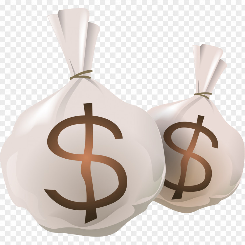 Dollar Purse Model Symbol PNG