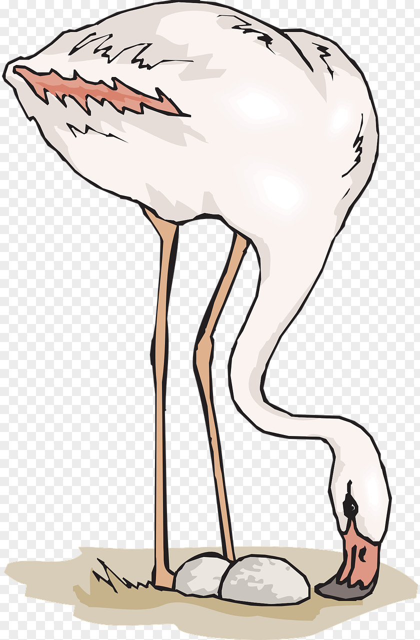 Embrace Eating Ostrich T-shirt Flamingo Illustration PNG