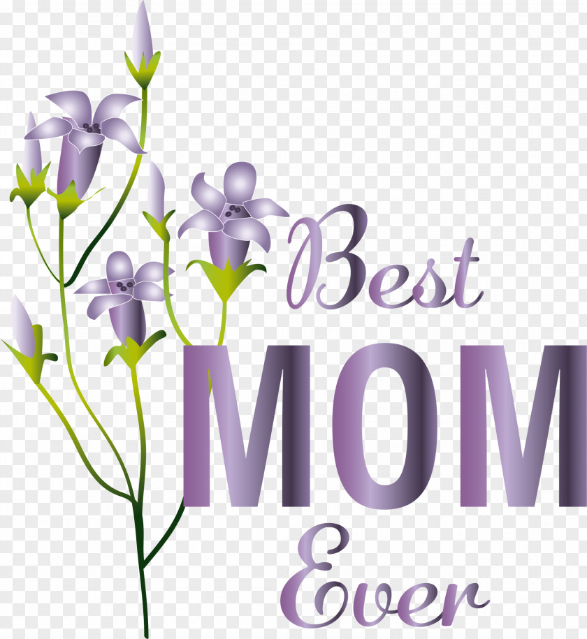 Floral Design PNG