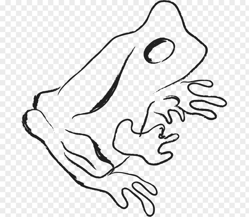 Frog Graphic Visual Arts Clip Art PNG