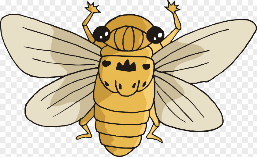 Insect Creative Honey Bee Ant Animal PNG
