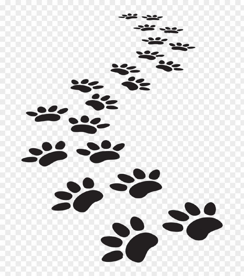 Paws Dog Cat Paw Printing Clip Art PNG