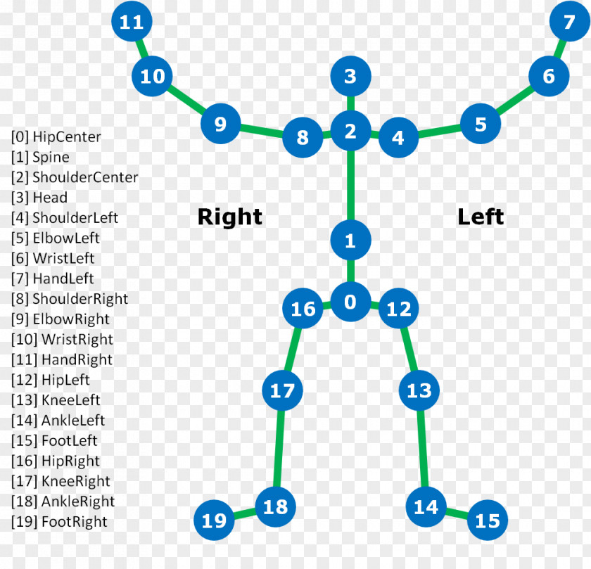 Sunlight 13 0 1 Kinect Joint Anatomy Skeleton Human Body PNG