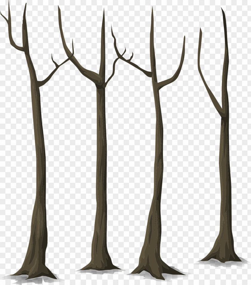 Tree Martha And Mitch Twig Charlie Chumpkins The Secret Of Pooks Wood Trunk PNG
