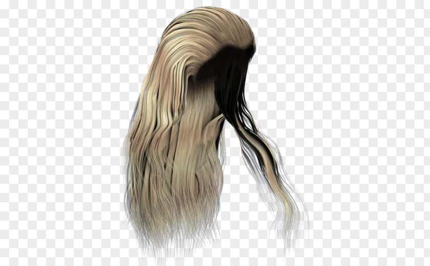 Hair Long Blond Wig PNG