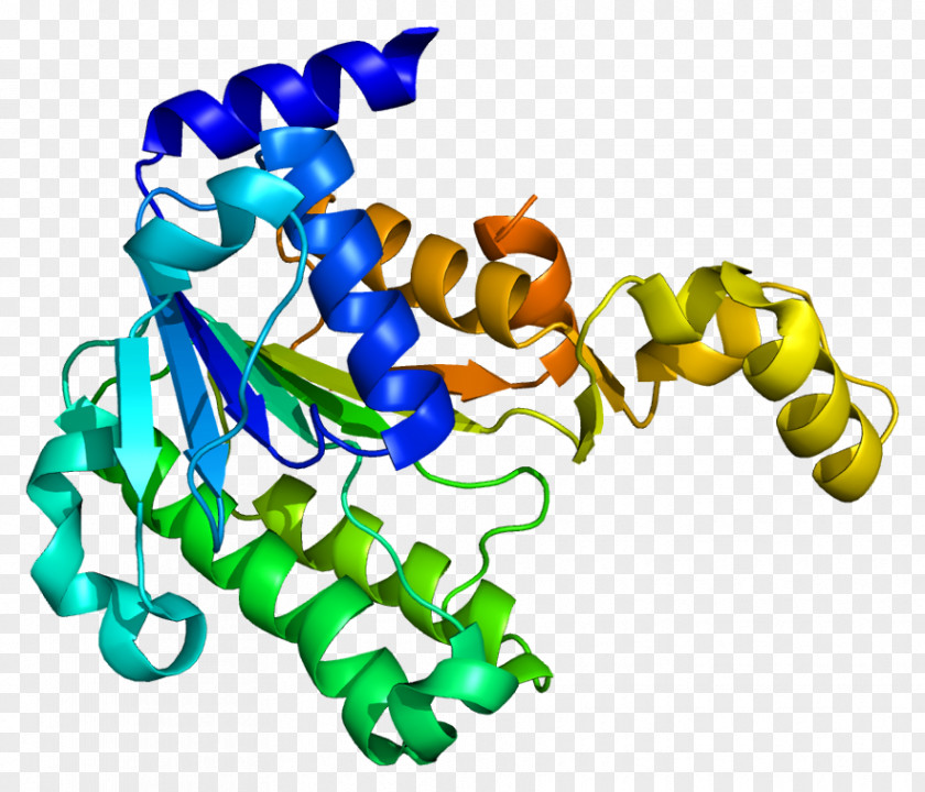 HTATIP2 Gene Protein Metastasis Suppressor Mannose Receptor PNG