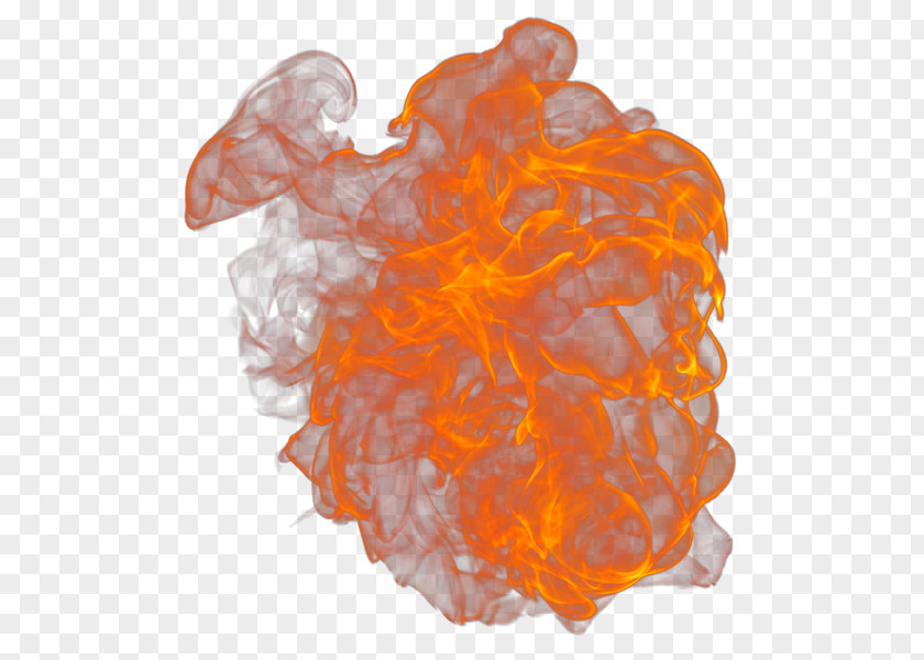 Organism Orange S.A. PNG